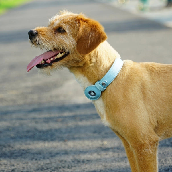 SmartTrack AirTag Dog Collar - Premium Vegan Leather with Built-In Tracker Holder