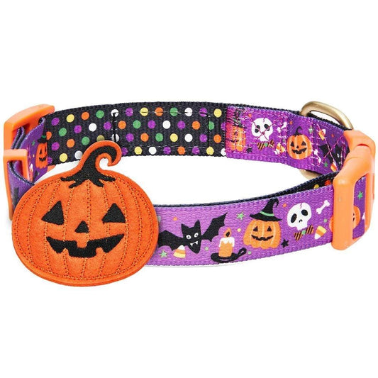 Halloween Charm Collar for Dogs – Jack-O'-Lantern & Witch Hat Designs