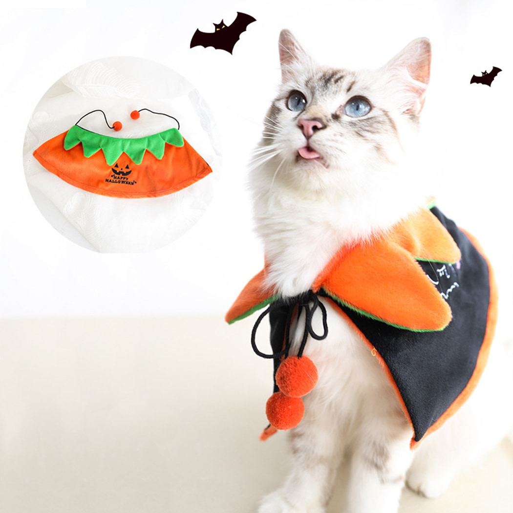 🎃 Halloween Pumpkin Pet Costume Collar