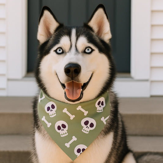 Spooky Snuggles Halloween Pet Bandana Collection