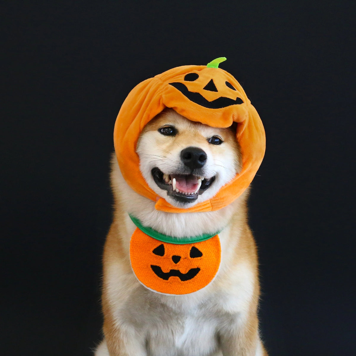 Pumpkin Hat & Ghost Bib Set for Cats and Dogs – Halloween Pet Costume Headwear with Bandana