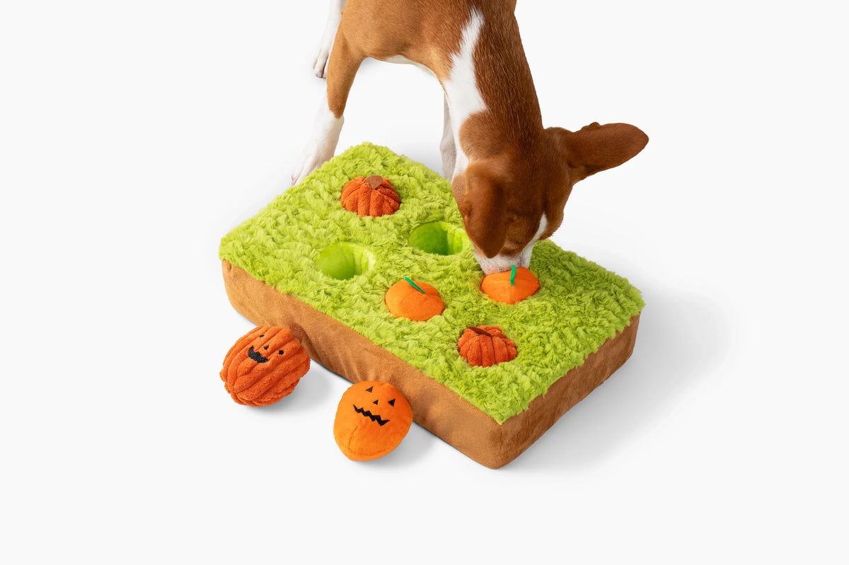 🎃 Halloween Pumpkin Patch Dog Puzzle Toy
