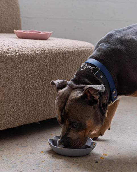 Flower shape Slow Feeder Bowl : Stop Bloating, Boost Digestion, Love Mealtime Again