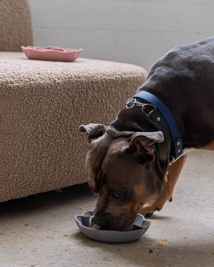 Flower shape Slow Feeder Bowl : Stop Bloating, Boost Digestion, Love Mealtime Again