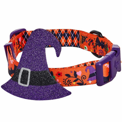 Halloween Charm Collar for Dogs – Jack-O'-Lantern & Witch Hat Designs