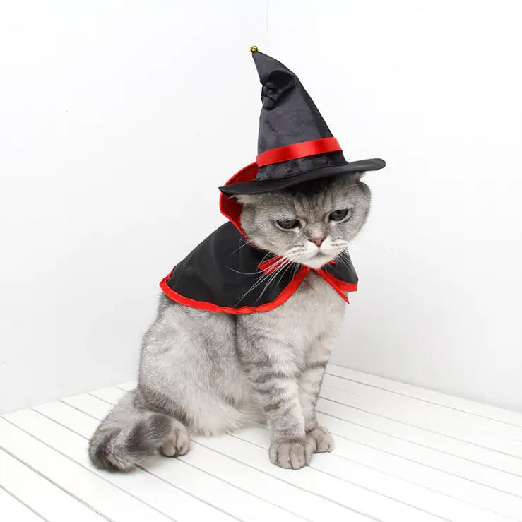 Halloween Cat Costume Cape – Vampire & Pumpkin Witch Cape with Hat, Halloween Pet Costume for Cats & Small Dogs