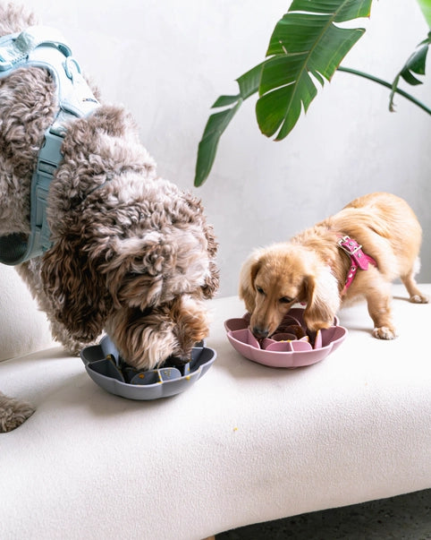 Flower shape Slow Feeder Bowl : Stop Bloating, Boost Digestion, Love Mealtime Again