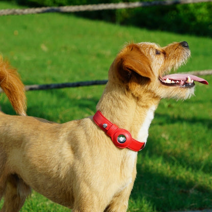 SmartTrack AirTag Dog Collar - Premium Vegan Leather with Built-In Tracker Holder