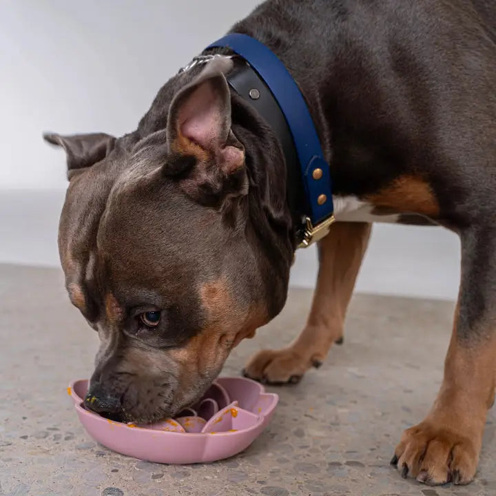 Flower shape Slow Feeder Bowl : Stop Bloating, Boost Digestion, Love Mealtime Again