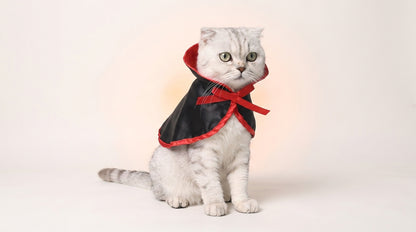 Halloween Cat Costume Cape – Vampire & Pumpkin Witch Cape with Hat, Halloween Pet Costume for Cats & Small Dogs